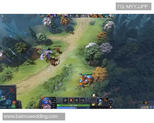 杨磊深度解析DOTA2游戏策略与技巧分享助你提升竞技水平
