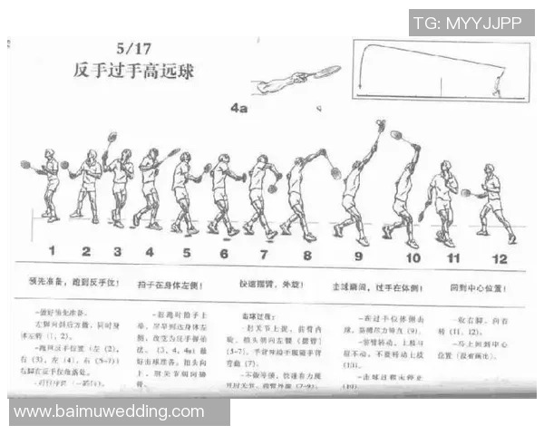 深入分析上海羽毛球队反击战术的核心策略与实施效果 深入分析上海羽毛球队反击战术的核心策略与实施效果