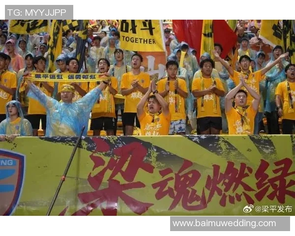 重庆足球队实力变革引发热议球迷期待新篇章 重庆足球队实力变革引发热议球迷期待新篇章