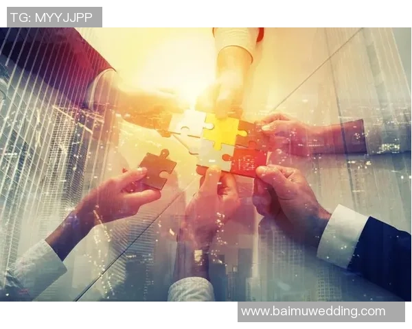 成都排球队逆袭之路联合会杯特别报道展现拼搏精神与团队力量