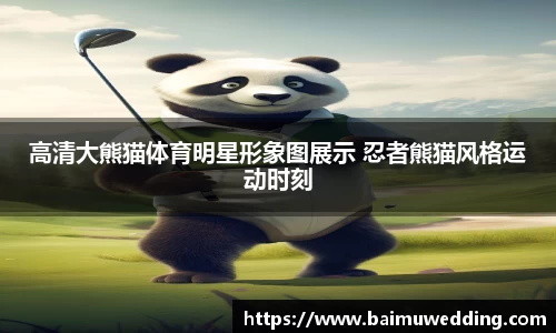 高清大熊猫体育明星形象图展示 忍者熊猫风格运动时刻