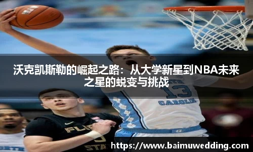 威客电竞官方网站