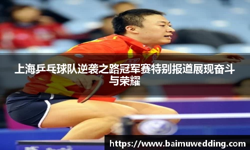 上海乒乓球队逆袭之路冠军赛特别报道展现奋斗与荣耀