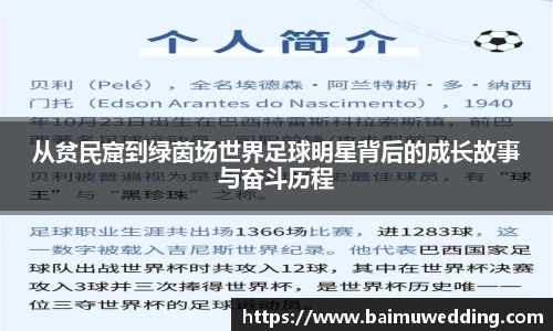 威客电竞官方网站