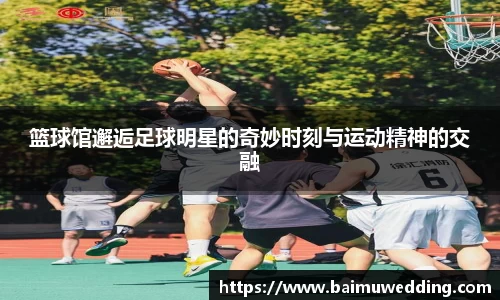 威客电竞官方网站